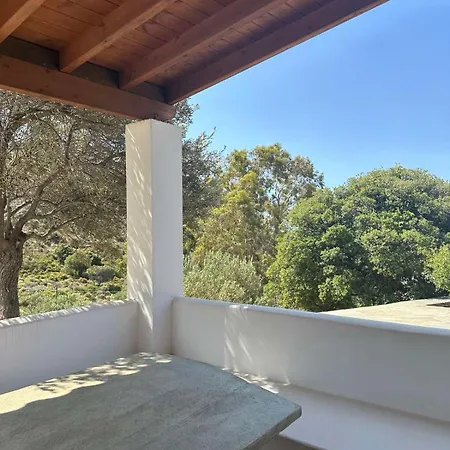 Mina's Kypri Kipri (Andros)